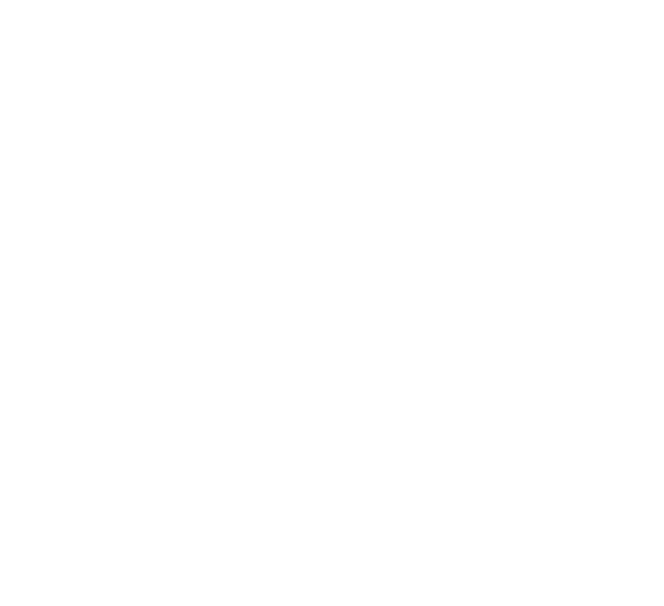 story text